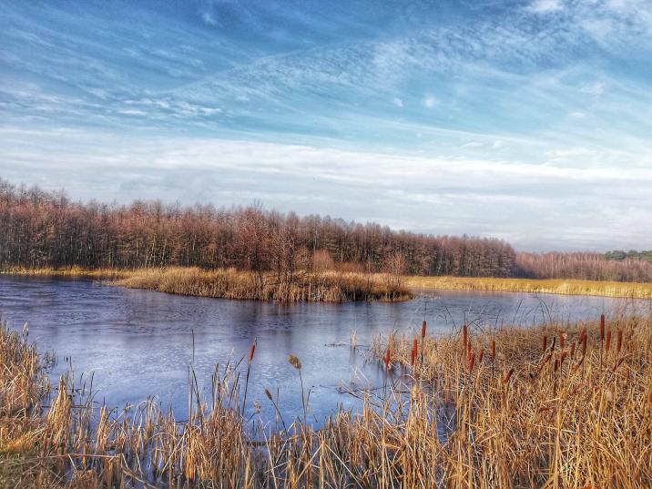 Projekt adaptacji do zmian klimatu na terenach nizinnych - kontynuacja