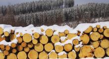 Dlaczego pozyskujemy drewno?