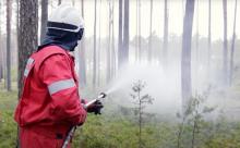 Zapobiegać, przeciwdziałać, ograniczać - projekt ochrony przeciwpożarowej lasów