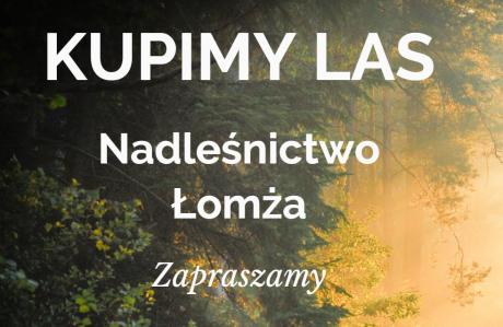 Kupimy las