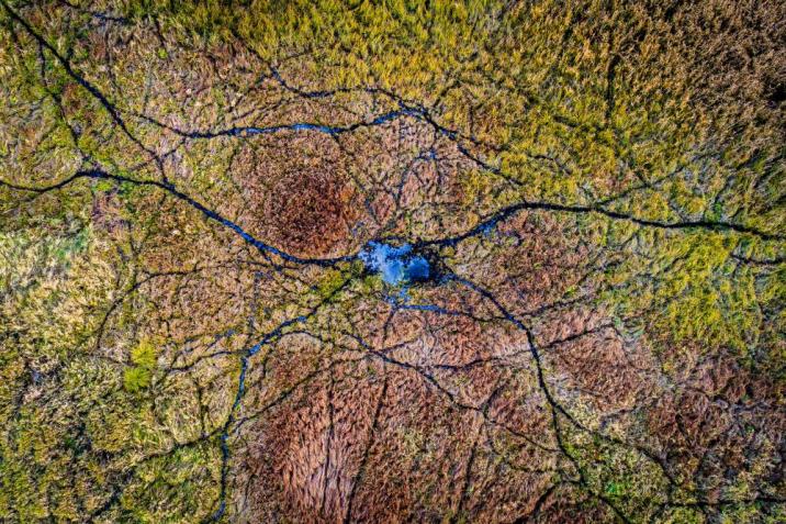 Jak neuronowa sieć. Fot. Łukasz Gwiździel