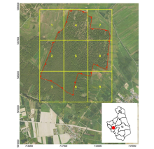 Konsultacje społeczne