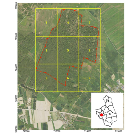 Konsultacje społeczne